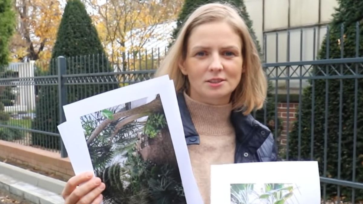 Palmiarnia w Legnicy została zniszczona - informują radni. Na zdjęciu Karolina Jaczewska-Szymkowiak.