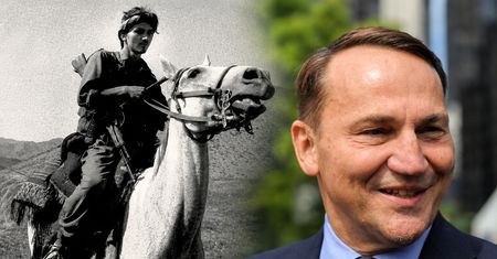 Sikorski drwi z Nawrockiego. "Też lubię konno"