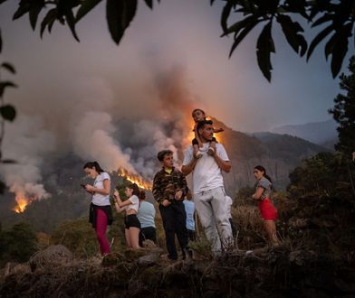 Tysiące osób ewakuowanych na Teneryfie. "Najbardziej skomplikowany pożar na naszym archipelagu od 40 lat"