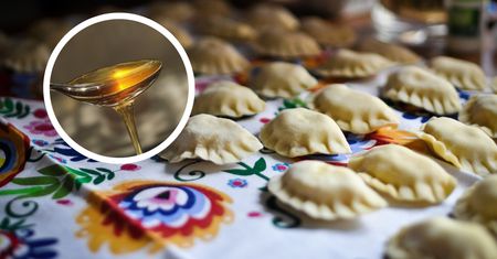Polska kuchnia znów podbija światowe rankingi. Nie tylko pierogi i sernik robią furorę