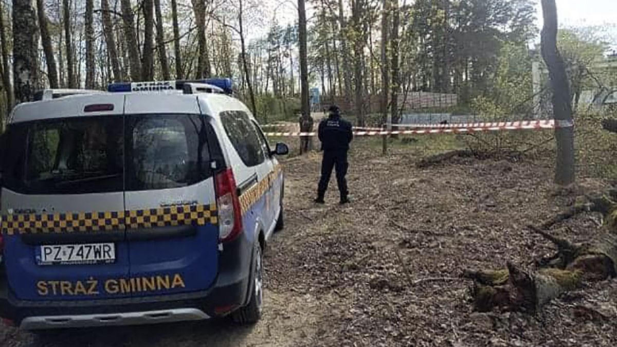 Strażnicy od razu zabezpieczyli niebezpieczne znalezisko