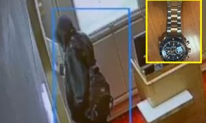 Sięgnął do gabloty. Łupem padł zegarek za 100 tys. złotych