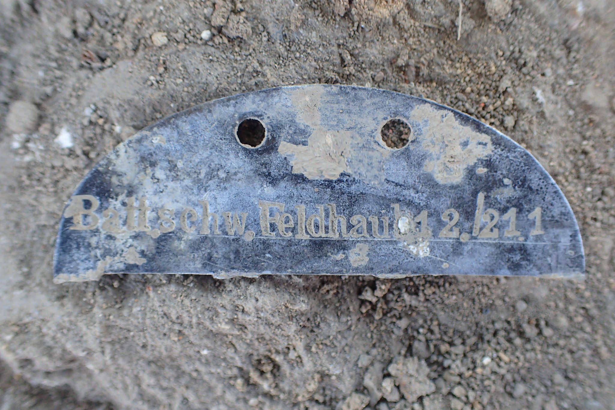 Odkrycie w Pleśnicy