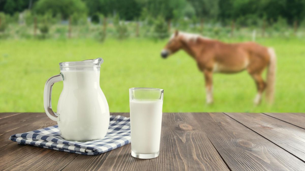 Kumys to mleczny napój alkoholowy, który cieszy się ogromną popularnością w Mongolii, Kazachstanie czy Kirgistanie.