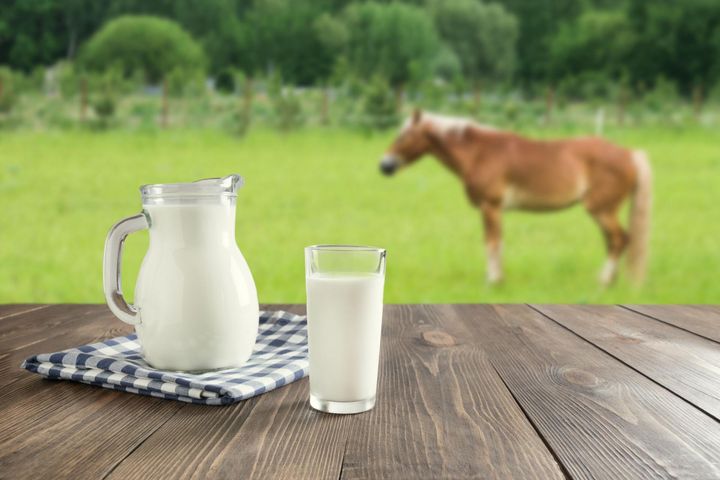 Kumys to mleczny napój alkoholowy, który cieszy się ogromną popularnością w Mongolii, Kazachstanie czy Kirgistanie.