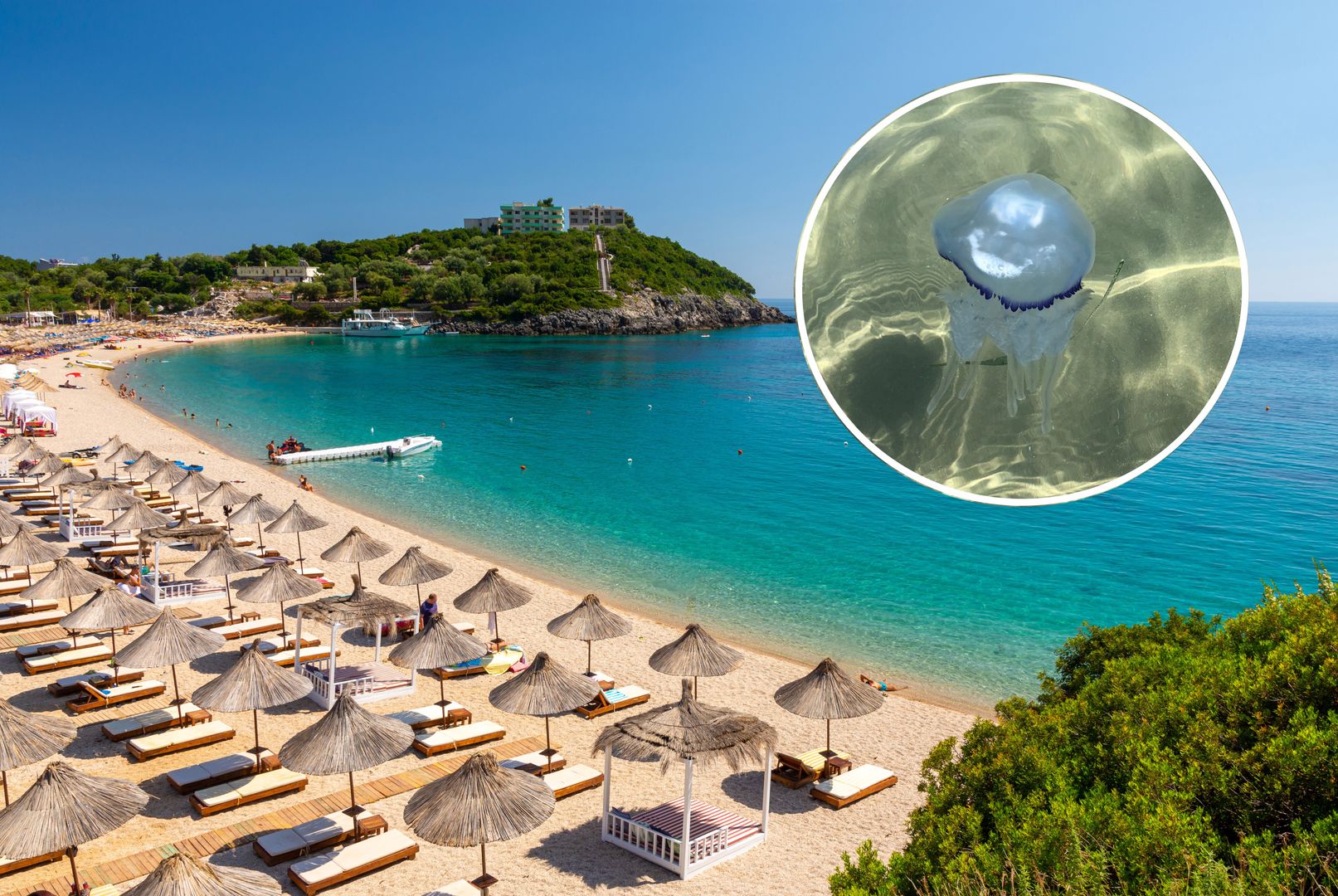 albania,himare,himara,umbrella,coast,blue,beach,water,dhermi,jale,bay,coastline,sunny,sun,aquamarine,paradise,jali,season,relax,tree,natural,tourism,beautiful,background,summer,view,outdoor,travel,landscape,nature,sea,shore,mediterranean,adriatic,balkans,albanian,ionian,vlore,vlora