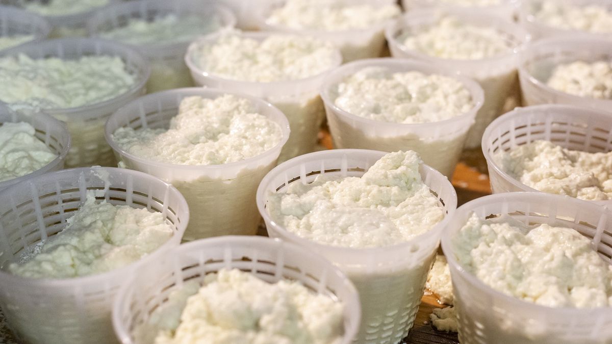 Po 50 r.ż. włącz do diety więcej nabiału