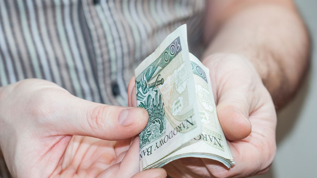 złoty, pieniądze, waluty, gotówka, 100 zł