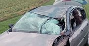 Renault zderzył się z łosiem. Kierowca miał dużo szczęścia