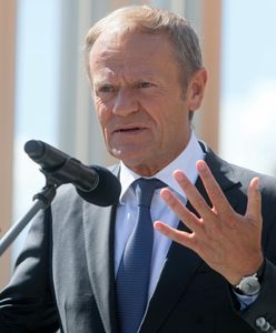 "Stand-up Glapińskiego". Tusk komentuje decyzję Rady Polityki Pieniężnej