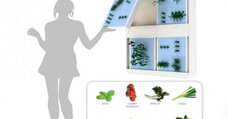 Ekoblogia: Ogród przenośny jak teczka