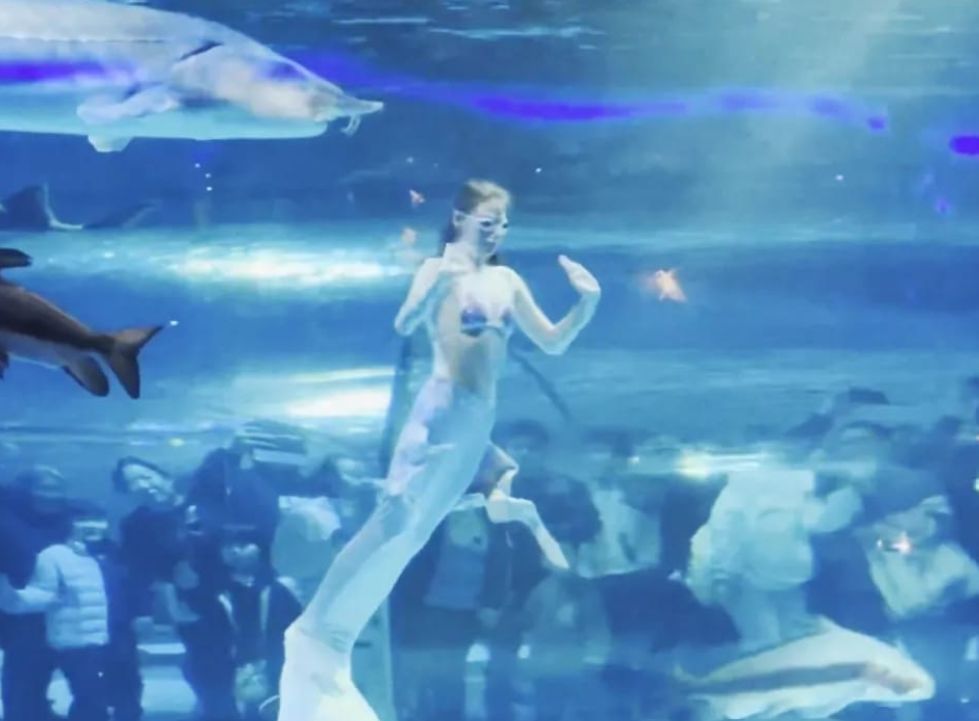 Horror w oceanarium