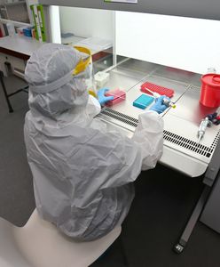 Małpia ospa atakuje. Takie są zalecenie we Francji