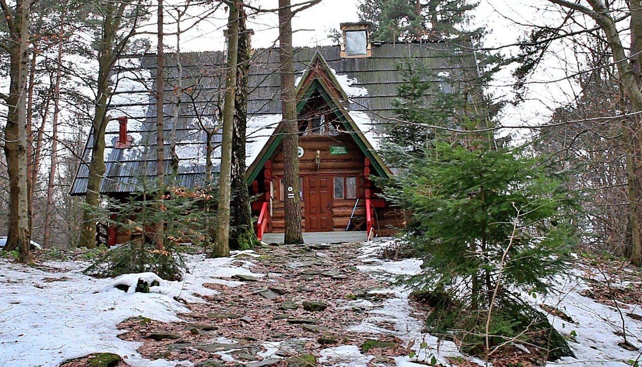 Beskid Niski zaprasza: mikrofestiwal przyrodniczy z warsztatami, prelekcjami, nocnym lasem i porannym tropieniem wśród karpackich ostoi