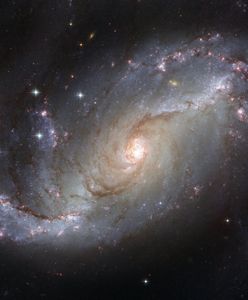 "Mrugający olbrzym" w pobliżu centrum Drogi Mlecznej. Przełomowe odkrycie