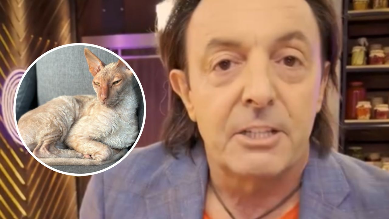 Michel Moran stracił futrzastego przyjaciela w wypadku. "Facet jeździł jak bandyta"