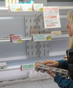 Ameryka szuka dostawców jajek. Kontaktują się z Polską
