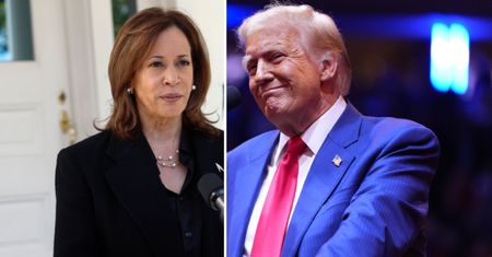 Wybory w USA. Co oznacza wygrana Trumpa, a co wygrana Harris? [OPINIA]