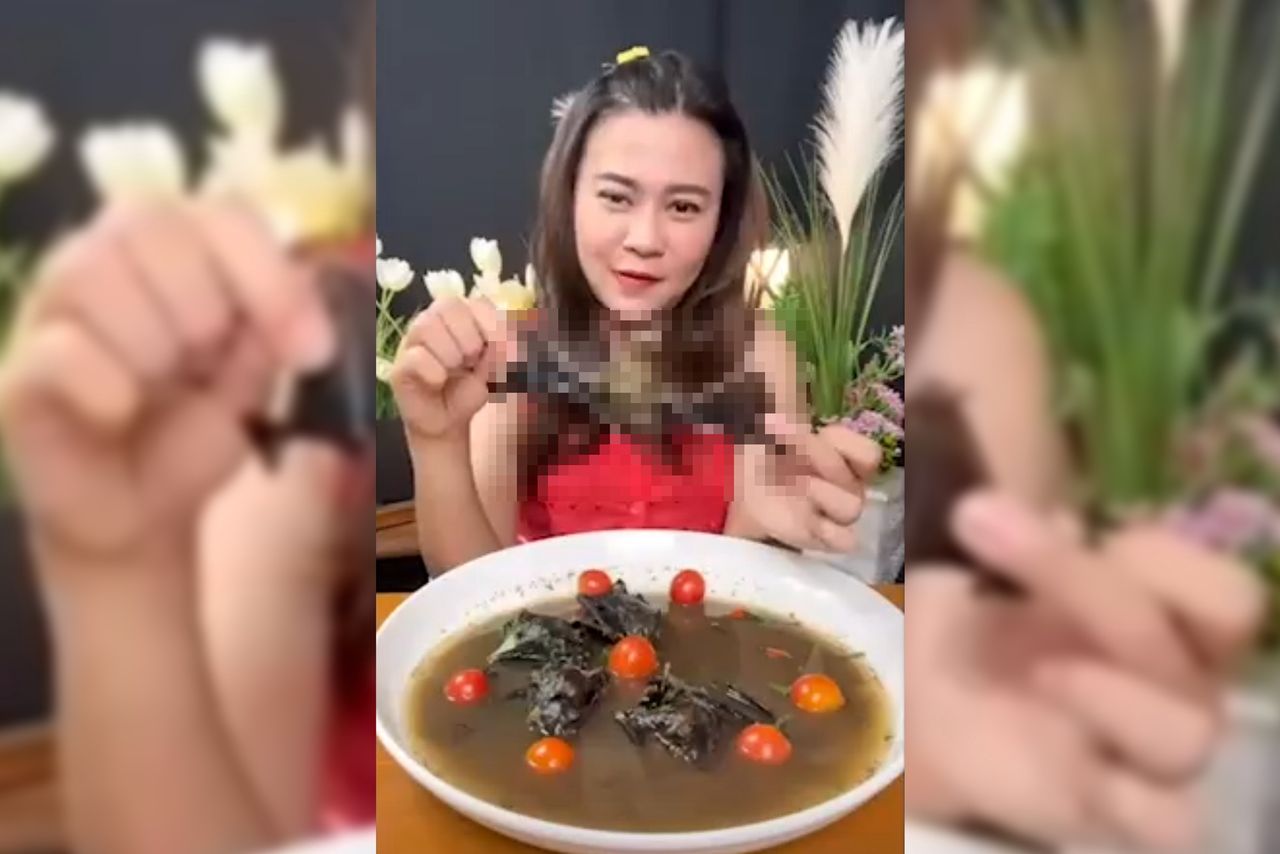 Blogerka zjadła zupę z nietoperza na wizji. Grozi jej więzienie