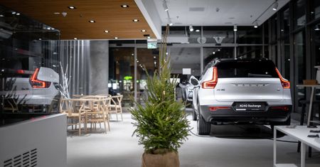 Wypożycz choinkę od Volvo. Wystarczy pojechać do najbliższego salonu