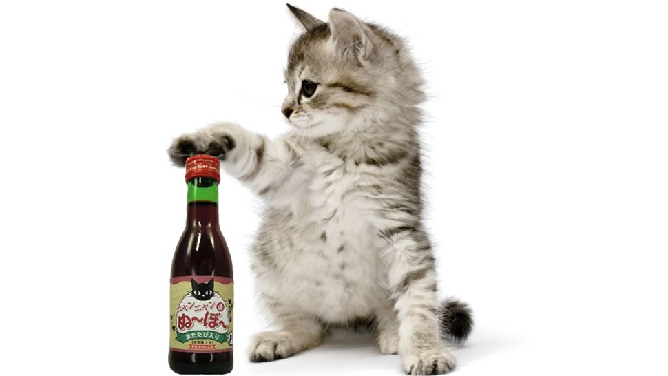 WTF dnia: wino, które powstało specjalnie dla kotów. Bezalkoholowe oczywiście! 2