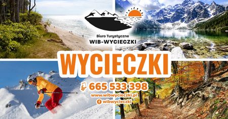 Wib Wycieczki – wyjazdy szyte na miarę Twoich potrzeb!
