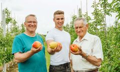 Sadownicy zatrzymali wieloletni trend spadku ilości konsumentów jabłek