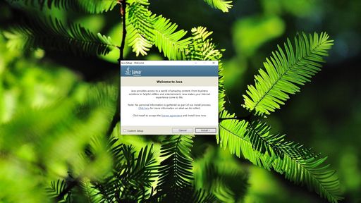 Java SE Runtime Environment