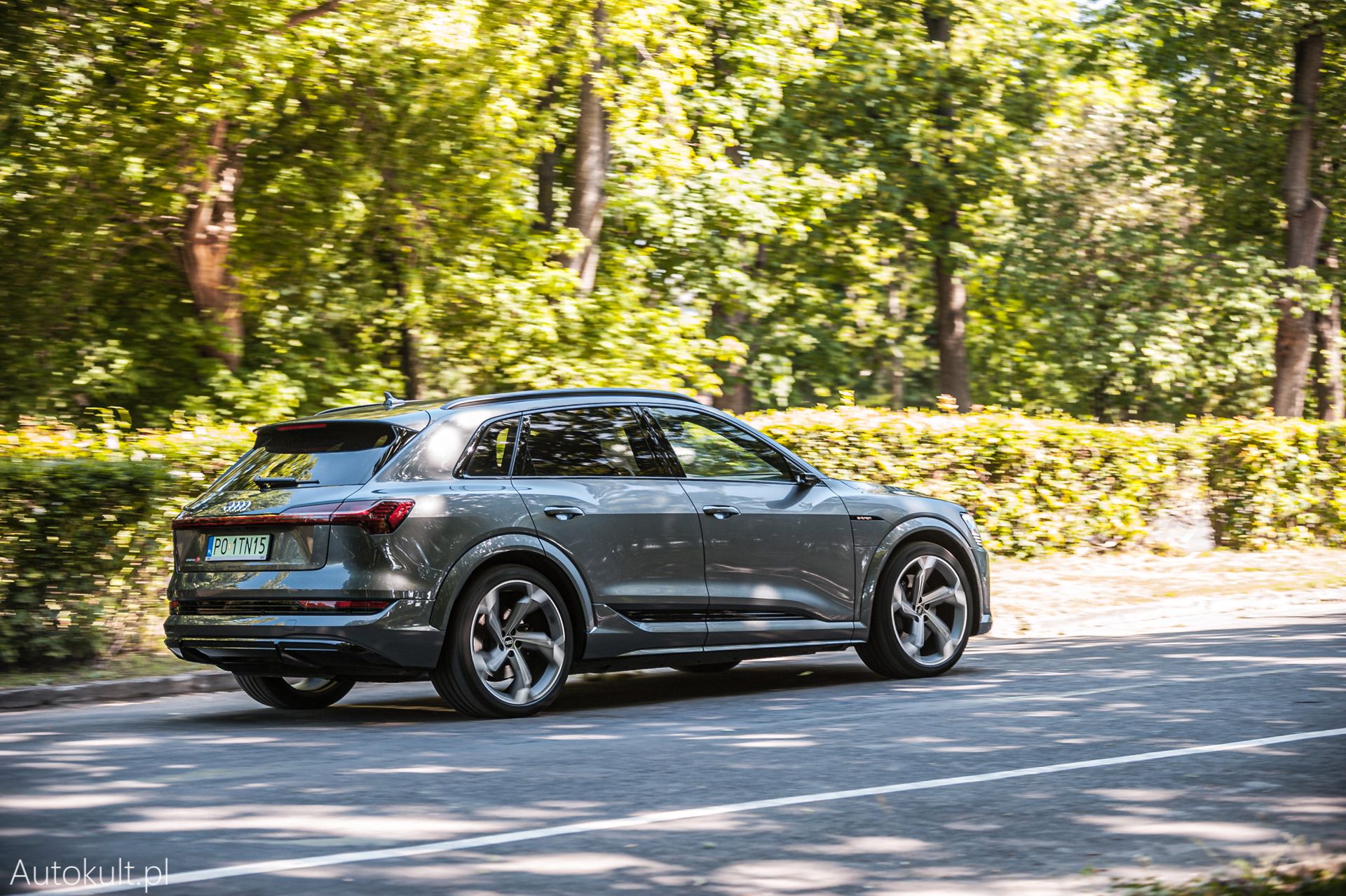 Zdjęcie ilustracyjne do artykułu