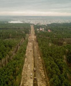 Śląskie. Nowe drzewa, budki dla ptaków i zbiorniki dla płazów w ramach budowy linii kolejowej