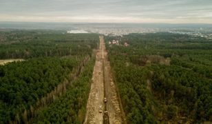 Śląskie. Nowe drzewa, budki dla ptaków i zbiorniki dla płazów w ramach budowy linii kolejowej