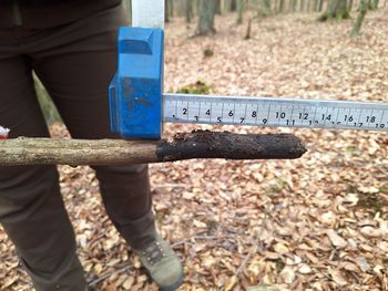 Spadła koło leśnika. "Wbiła się jak dzida". Zdjęcie ku przestrodze