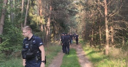 Seniorka poszła do lasu. Dramat na grzybobraniu