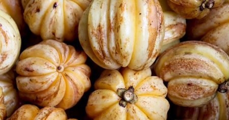 Garcinia cambogia – właściwości, działanie, skutki uboczne, jak stosować