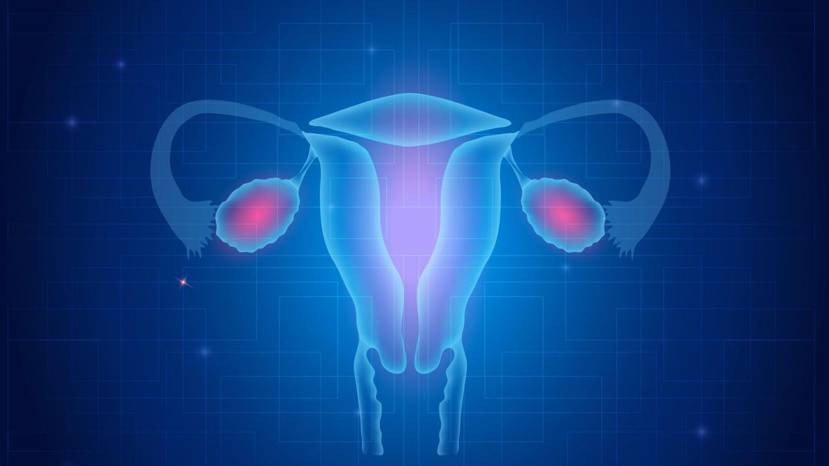 Stężenie progesteronu odgrywa ważną rolę podczas ciąży