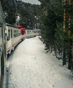 Jak zaplanować podróż pociągiem na Święta? Najważniejsze terminy i bilety w promocji