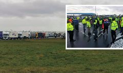 "Nieludzkie warunki". Polacy "uwięzieni" w Dover apelują do premiera