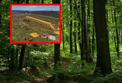 Kontrowersyjna inwestycja na Węgrzech. Spacer wśród koron drzew bez drzew