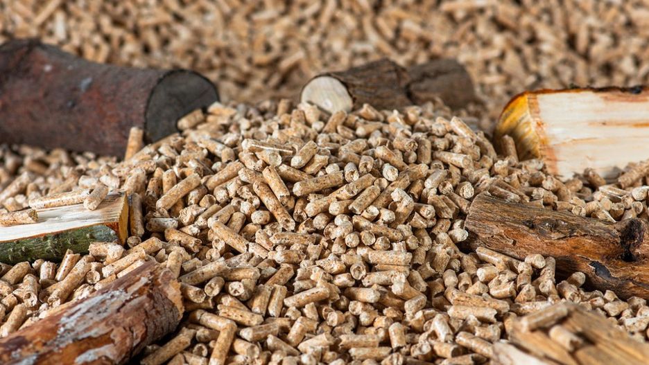 Obraz Willfried Wende z Pixabay