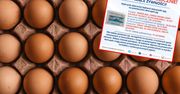 GIS ostrzega: salmonella wykryta na jajach