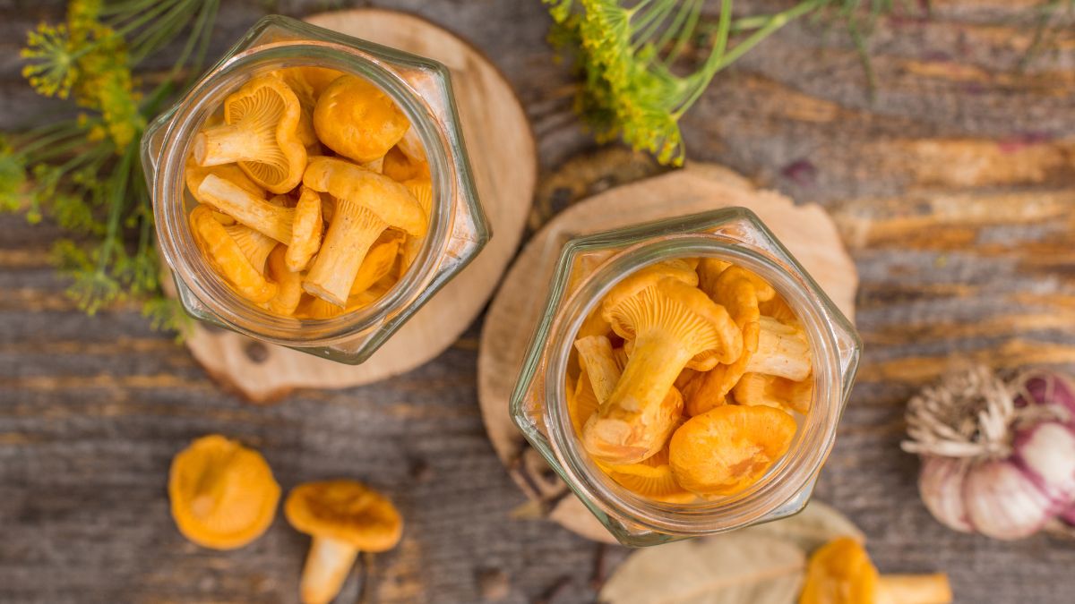 Przetwory na zimę z kurkami w roli głównej