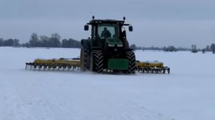 Rolnik nagrany. To nie dzieło AI. "Czegoś takiego nie widziałam"