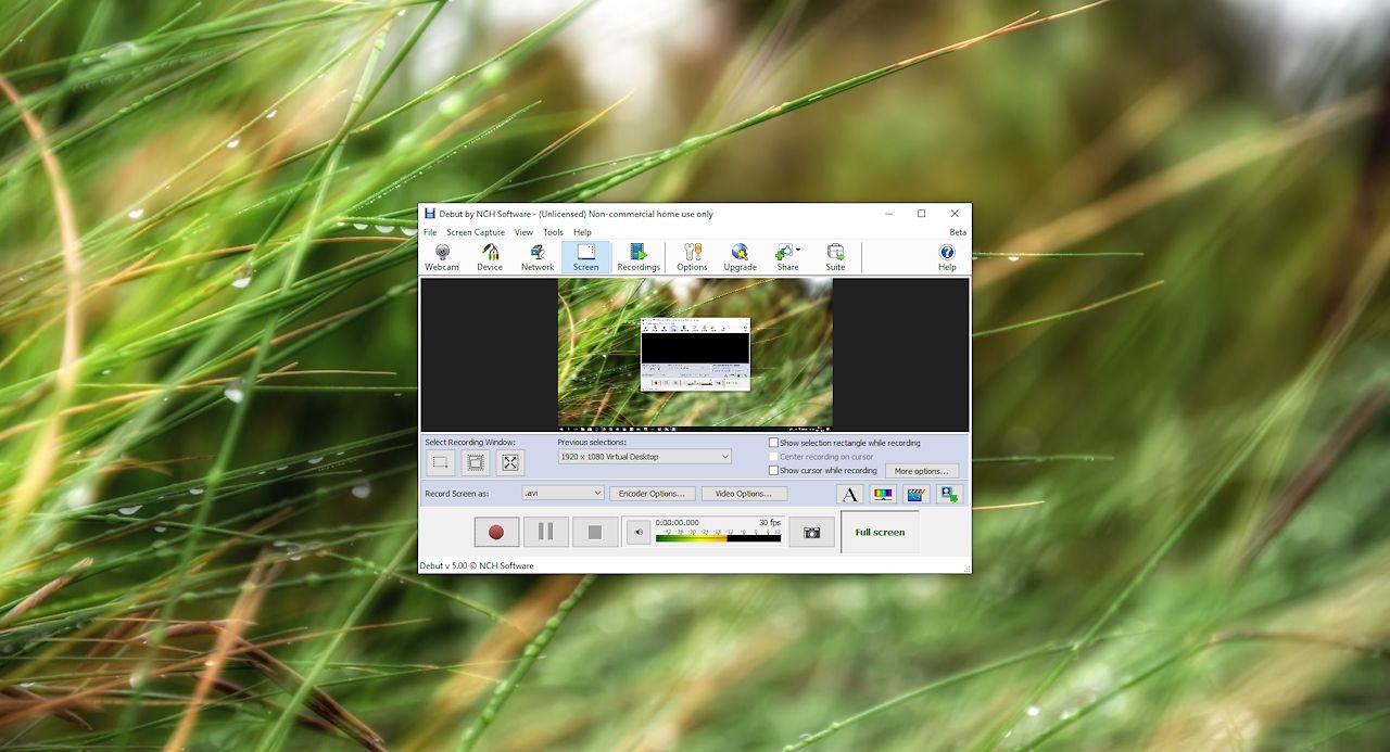 Debut Video Capture 1