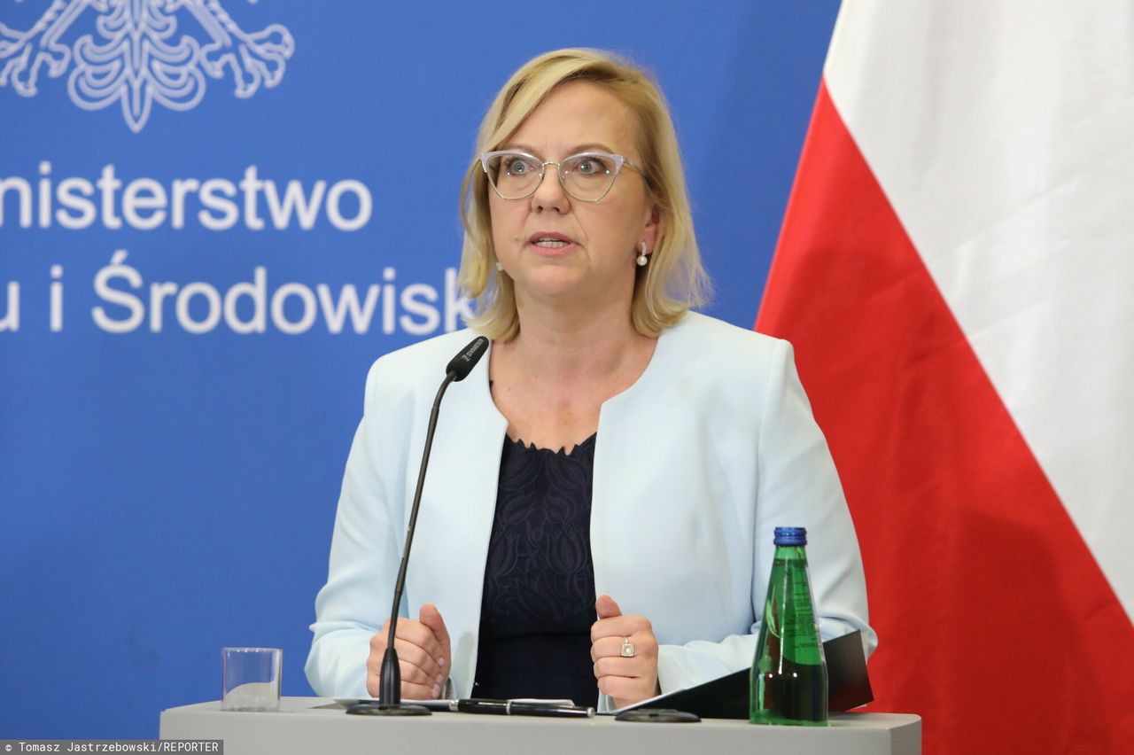 Sprzedawcy energii muszą uwzględnić obniżkę - powiedziała Anna Moskwa