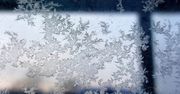 Legnica: Nocne przymrozki. Nawet -5°C przy gruncie