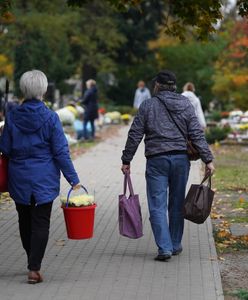 Oto "król drożyzny" na cmentarzach. "Skąd taka cena?"