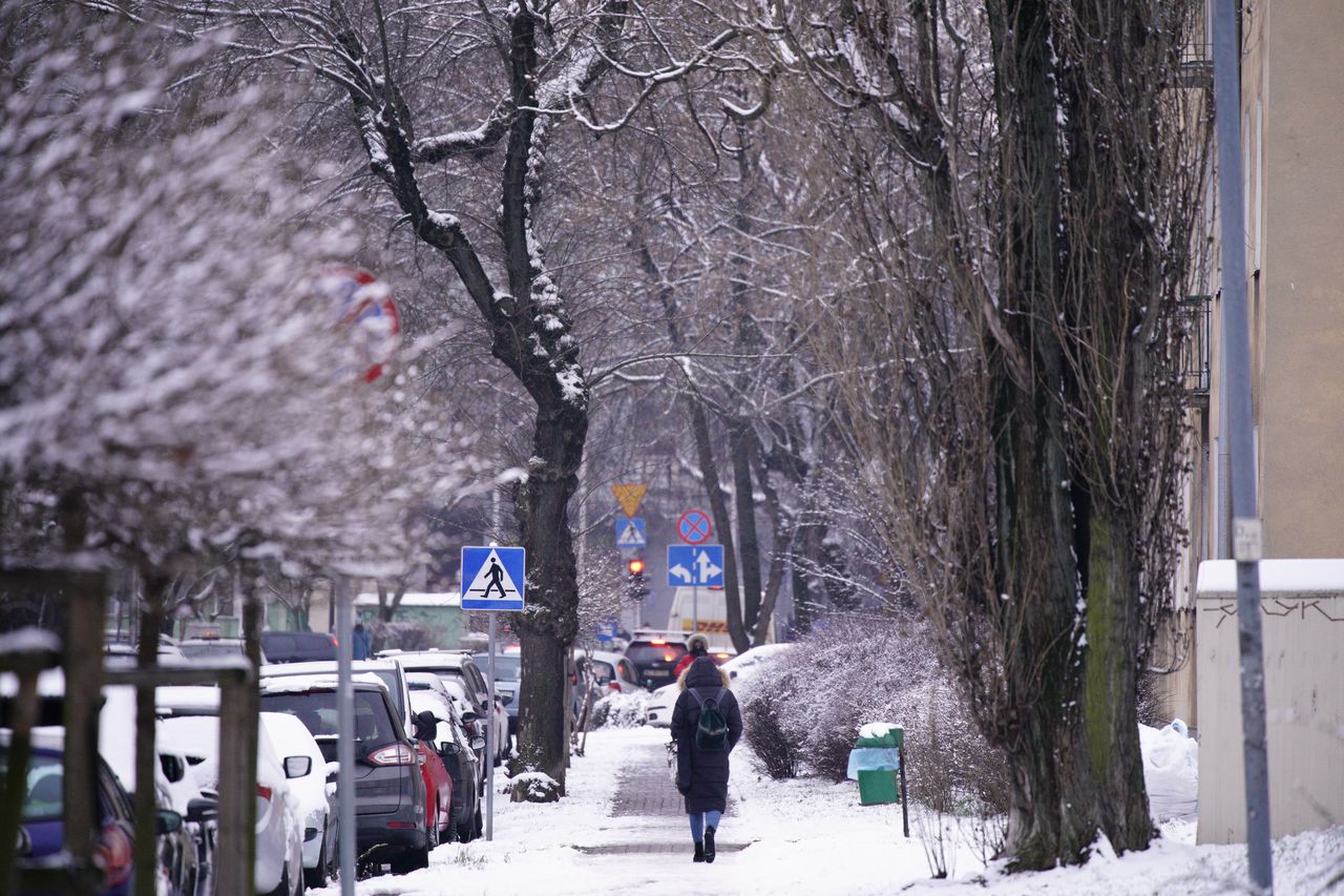 Pogoda. Warszawa. W poniedziałek więcej słońca