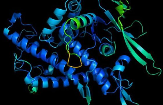 Google wprowadza innowacje zapobiegające samobójstwom