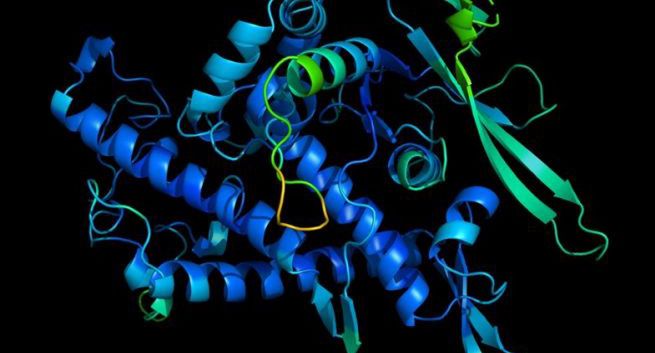 Google wprowadza innowacje zapobiegające samobójstwom