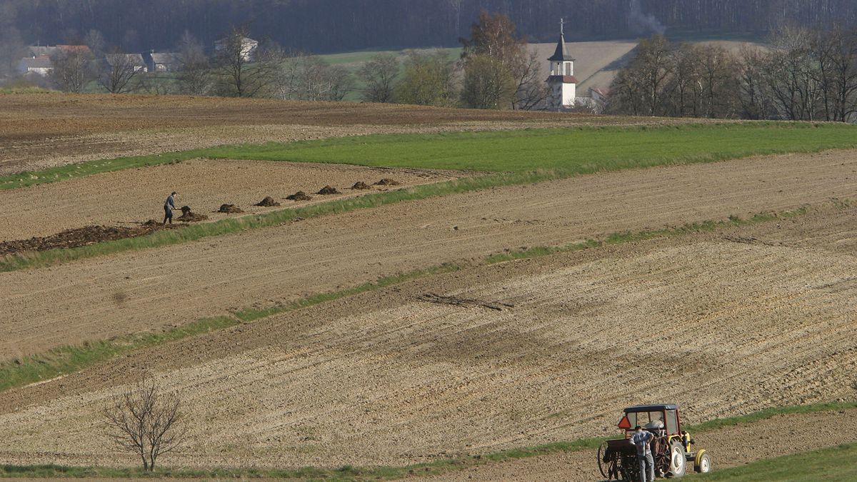 "Mundek" chce wyłudzić od rolnika majątek wart 8 mln zł. Prokuratura wznowi śledztwo?